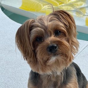 Meet your Posher, Heidi